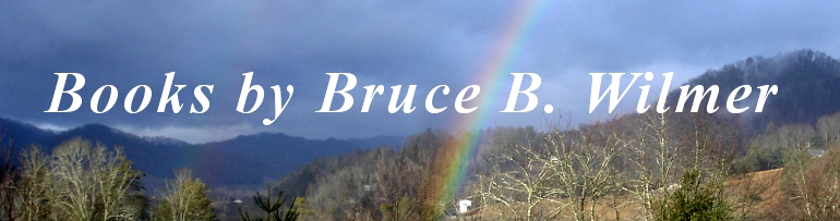 Books by Bruce B. Wilmer